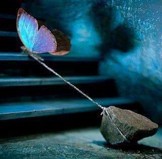 butterfly-dragging-weight